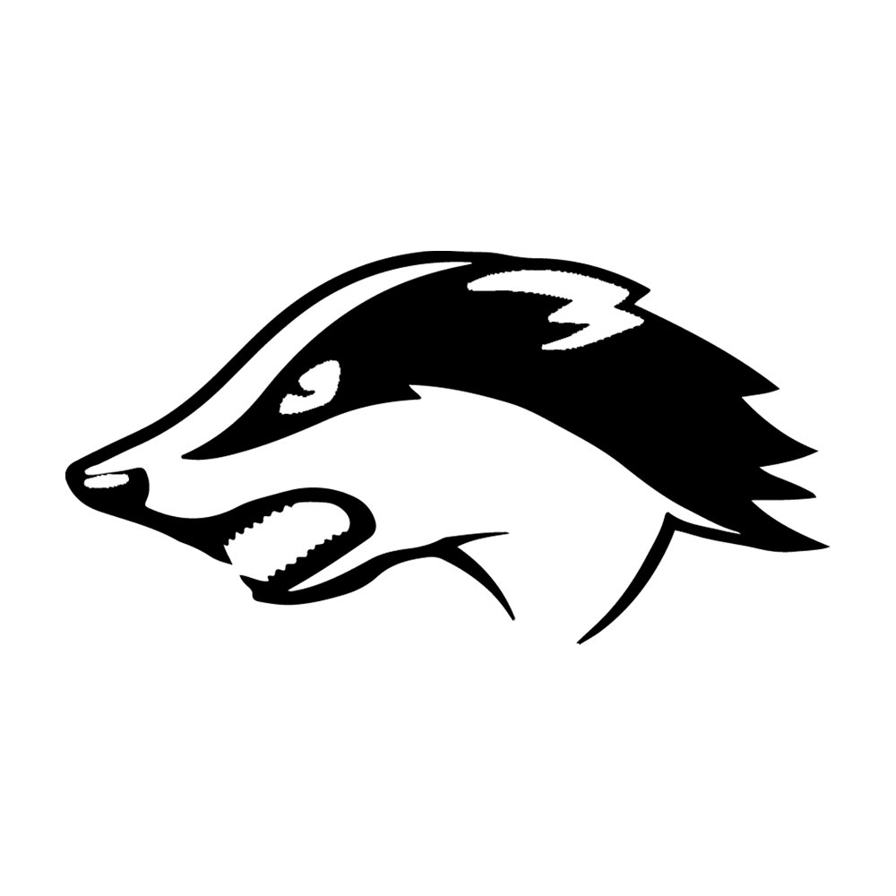 C.O.M. & Lowell Logo